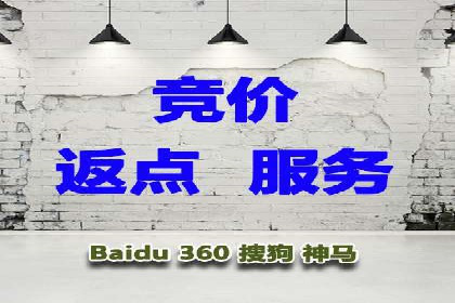 百度竞价公司案例分析：优化策略全解析